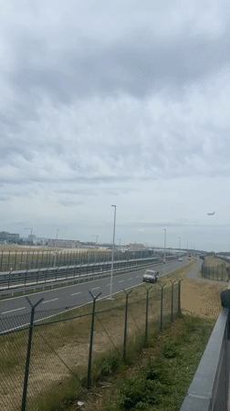 Frankfurt area scenes: airport views, highway traffic, forest beetle