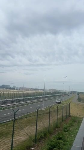Frankfurt area scenes: airport views, highway traffic, forest beetle
