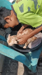 Orange cat bath time in Santing, Indonesia