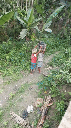 Rural workers navigate dirt paths in Mehendiganj countryside