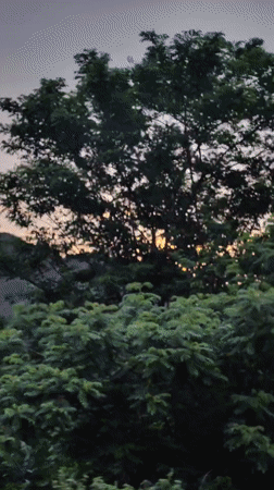 Walsawangi, India