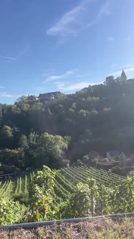 The video shows a scenic view of a village nestled on a hillside, with vineyards in the foreground. The sun is shining brightly in a clear blue sky, casting a warm glow over the landscape. The village appears to be made up of traditional houses with red-tiled roofs, and a church steeple can be seen rising above the trees. The vineyards are neatly arranged in rows, with lush green vines stretching across the hillside. The overall impression is one of peace and tranquility, with a touch of rustic charm.