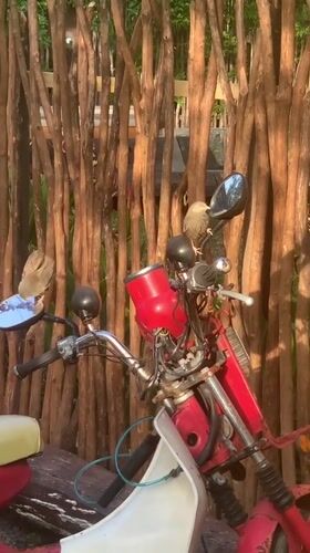 Birds gather on parked motorcycle in Sri Lanka
