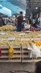 Inside a Tashkent bazaar: grapes, birds, and blooms