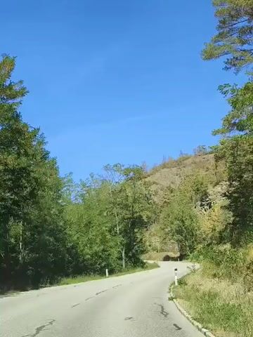 The video shows a view from a vehicle driving on a paved road through a natural environment. The road curves to the right, flanked by green trees and vegetation on either side. A rocky, sparsely vegetated hillside rises to the right of the road, under a clear blue sky. The road has visible white lane markers and some cracks in the pavement. There are no people or other vehicles visible in the immediate scene. The overall impression is a scenic drive through a wooded, hilly area on a sunny day.