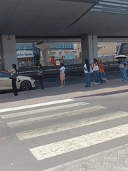 Street-level Dubai: metro, bikes, towers, and a myna bird
