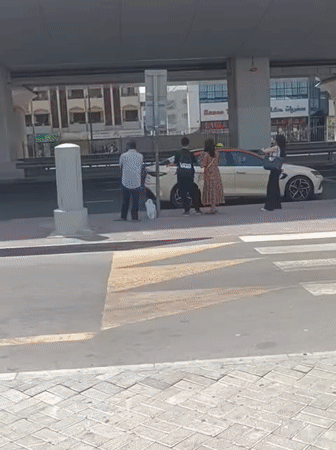 Street-level Dubai: metro, bikes, towers, and a myna bird