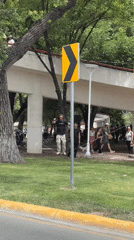 Slacklining practice session draws participants in San Pedro park