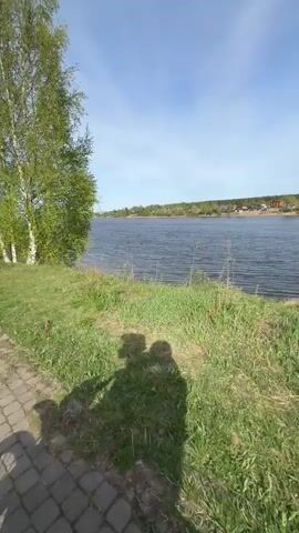 The video shows a view of a body of water from a grassy bank. A birch tree with green leaves is on the left side of the frame. The shadows of two people are visible on the grass in the foreground. The water stretches across the middle ground, with a line of trees and buildings visible on the opposite shore. The sky is blue with some scattered clouds. The camera pans slightly to the right.