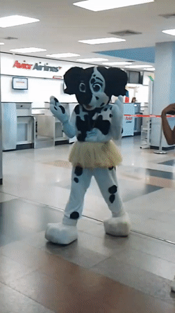 Dalmatian mascot performs dance routine in Los Bagres, Venezuela