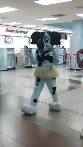 A person in a dalmatian mascot costume with a black and white spotted body, black ears, a black and white face, and a light brown tutu is shown in an indoor setting. The dalmatian mascot first stands still, then turns around and walks to the left of the frame. The dalmatian mascot turns to the right and poses while another person walks past them on the right side of the frame. The dalmatian mascot turns to the left and walks out of the frame while the other person continues to walk forward out of the frame. In the background there are desks, a sign that says "AVIANCA AIRLINES", and white walls.