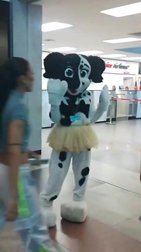 Dalmatian mascot performs dance routine in Los Bagres, Venezuela