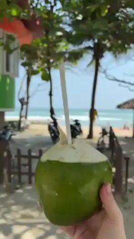 A person holds a green coconut with a white straw, set against a backdrop of a beach, ocean, and trees on a sunny day. A colorful building is also visible. The scene transitions to a view of a road with palm trees lining it and cars passing by. Then, the camera shifts to a woman wearing sunglasses, holding the same coconut, and drinking from the straw as she walks in a green, outdoor environment.