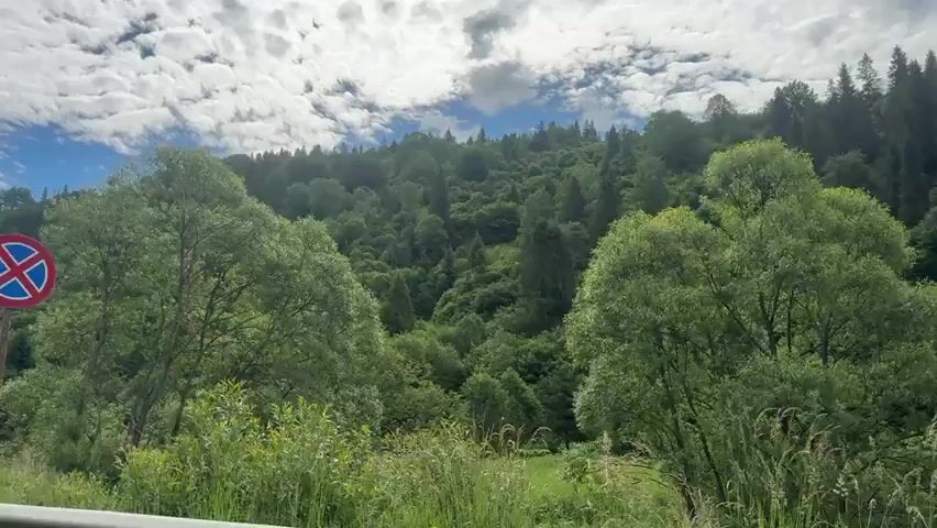 This is a video taken from a moving vehicle. The camera is focused on a lush green hillside covered in trees. The sky above is partly cloudy, with large white clouds against a blue sky. In the foreground, there are also some trees and vegetation. The scene appears to be a natural landscape, likely a forest or mountainside. There are no people or specific objects clearly visible beyond the trees and natural environment. The movement of the vehicle suggests a journey or exploration of the area.
