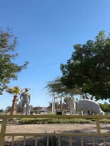 The video depicts a public park or open space on a bright, sunny day, with a clear blue sky overhead. The foreground features a yellow metal fence, partially obscuring the view of the park's interior. Visible within the park are several white statues, including one of a cowboy and another of a cow or bull. There is a large, green tree whose leaves fill a significant portion of the frame, partially obstructing the view of the statues. A tall lamppost stands near the tree. There are other, smaller trees and plants visible in the background. A black figure appears briefly walking behind the white cow.