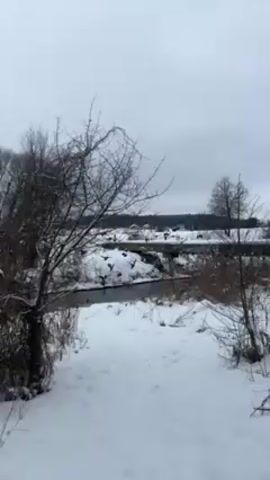 The video shows a winter landscape with snow-covered ground and bare trees. A narrow stream flows under a small, concrete bridge. Initially, the view is partially obstructed by tree branches. Then a large flock of birds takes flight from the bridge area and flies away into the distance. The backdrop includes a forest and a few houses with snow-covered roofs. The sky is overcast.