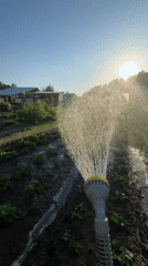 Garden work and selfies captured in Zhigalki, Russia