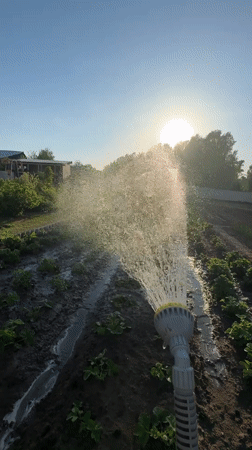 Garden work and selfies captured in Zhigalki, Russia