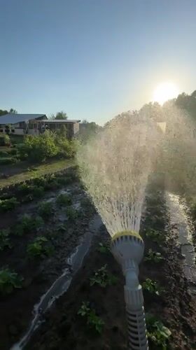 Garden work and selfies captured in Zhigalki, Russia
