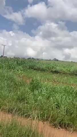 The video shows a moving shot of a rural landscape with lush green fields under a cloudy sky. In the foreground, tall grass sways, and further back, rows of corn plants are visible. Telephone poles with wires can be seen dotting the horizon, indicating some form of infrastructure. The terrain appears to be gently rolling hills. The overall impression is of a serene, natural environment.
