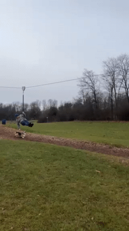 Zipline rider and merry-go-round family enjoy outdoor recreation