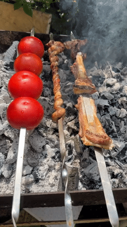 Outdoor grilling session underway in rural Azerbaijan