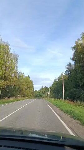 The video shows a point-of-view shot from a vehicle traveling on a paved road. The road is flanked by dense forest on both sides, with a clear blue sky above, dotted with a few clouds. There are traffic signs visible along the roadside, indicating curves or potential hazards. The foliage suggests it is likely autumn, with some trees showing yellowing leaves. The overall environment is natural and rural, with the vehicle in motion along the asphalt.