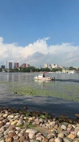 Lazy summer afternoon at a Khimki riverside park