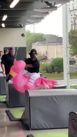 The scene is a Topgolf facility, likely an indoor or covered area. A young African-American man wearing a black shirt, white pants, glasses, and a baseball cap is riding a large, inflatable pink flamingo. He is bouncing on the flamingo as if riding a horse. To his left, an older Caucasian man in a black shirt and grey hat is standing nearby, seemingly watching. Golf bays are visible around the flamingo rider. Outside, there is a view of a building, some greenery, and a road with a car driving by. Artificial light fixtures are visible above, as is netting on the ceiling. The overall setting suggests a casual, lighthearted atmosphere at the golf entertainment complex.