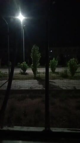 The video is a still image of a street at night. A lamppost shines brightly in the distance, illuminating a small garden with several bushes and a taller tree. A fence runs across the foreground, obscuring the view of the garden.