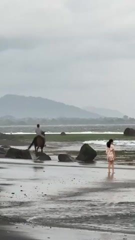 A person rides a horse along a wet, sandy beach. Another person, a woman wearing a light-colored dress, stands in the shallow water a short distance away from the horse. The water is a bit choppy with small waves. The beach is dotted with dark rocks, some of which are partially submerged. In the background, there are green patches of vegetation and rolling hills under a cloudy, overcast sky. The overall mood of the scene is somber and atmospheric.