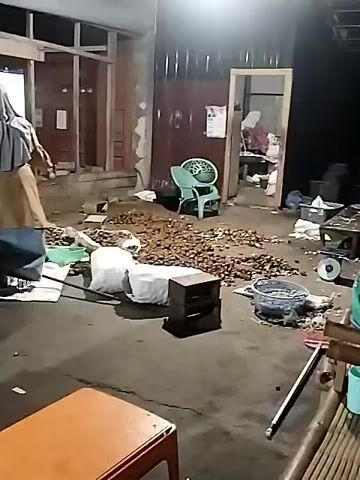 The video shows an indoor scene, possibly a workshop or storage area, with numerous small, dark objects scattered across the concrete floor. Two white sacks are also on the floor, next to a black box-like object. In the background, there's a green plastic chair. To the right, a blue basket filled with items is visible. A person is seen sitting on a bamboo-like chair on the right side of the frame. In the distance, another person is standing near a white appliance, possibly a refrigerator. The room is dimly lit, with a bright light source visible overhead. The walls appear to be made of corrugated metal and wood.