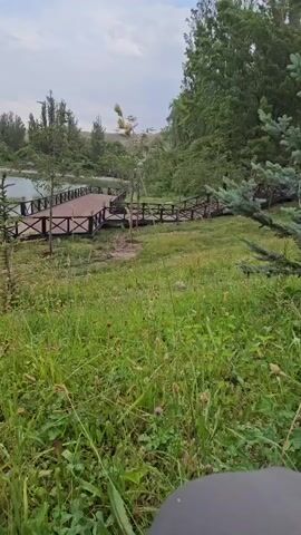 The video shows a wooden walkway along the edge of a body of water. The walkway has railings on both sides and a wider area at the end, resembling a pier or viewing platform. The surrounding area is grassy with scattered trees. The sky is overcast.