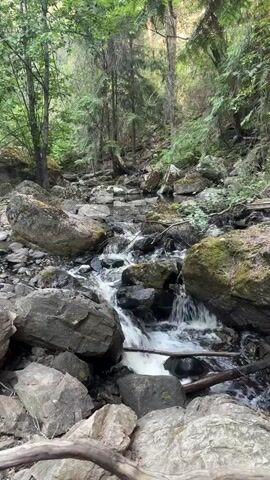 This is a vertical, medium-shot video of a shallow, rocky stream flowing through a forest. The water is clear and appears to be moving quickly over the rocks, creating small cascades and whitewater. The banks of the stream are covered in large, moss-covered rocks, and the area is densely wooded with tall trees. The lighting suggests it is daytime, with sunlight filtering through the leaves. No people or animals are visible in the frame. The overall atmosphere is peaceful and natural.