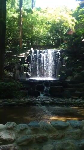 Early morning forest visit documented at Daejeon recreational areas