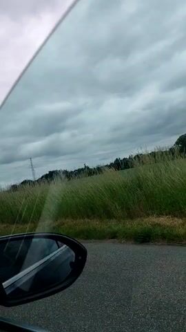 This is a first-person perspective video captured from inside a vehicle. The viewer is looking out the car window at a cloudy sky and a field of tall green grass. A power line tower is visible in the distance, and trees line the horizon. The car's side mirror is visible in the lower left corner of the frame, reflecting the interior of the car. The road surface is visible in the lower right portion of the frame. The video is 5 seconds long.