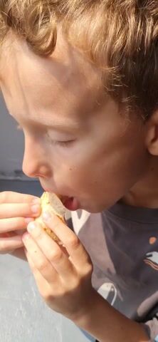 A close-up shot shows a young boy with blond, curly hair eating a flatbread. The boy, dressed in a gray t-shirt with beach-themed graphics, is positioned against a neutral gray background. The sun shines brightly on the left side of his face, highlighting the texture of his skin and hair. He takes a bite of the flatbread, chews, and then looks directly at the camera with a slight smile.
