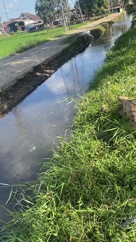 The video shows a narrow canal filled with murky water, bordered by lush green grass on the right and a paved pathway and green fields on the left. There are some scattered pieces of trash floating in the water, including plastic bags and bottles. In the background, there are buildings and power lines. The sun is shining, casting reflections on the water's surface. The scene appears to be in a rural or suburban area.