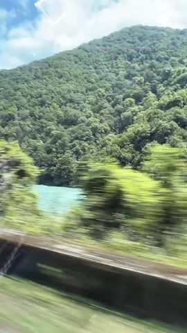 This media file captures a scenic view from a moving vehicle, likely a train or car, as it travels through a lush, mountainous region. The primary subjects are the dense green foliage covering the hillsides and the clear blue sky with scattered white clouds. The intense motion blur suggests a high speed, creating streaks of green and white that convey a sense of rapid movement and a vibrant, natural landscape.

The scene depicts a bright, sunny day, indicated by the clear sky and the way light filters through the trees. The location cues of Bzypta, Abkhazia, combined with the verdant, mountainous terrain, suggest a natural park or a rural area known for its scenic beauty. The overall emotion conveyed is one of dynamic exploration and immersion in nature's grandeur, with the speed adding an element of excitement to the journey. There is no visible text in the media file.