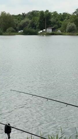 The video shows a body of water, likely a lake or pond, with fishing rods set up on the bank in the foreground. The water's surface is rippled, suggesting a light breeze. In the background, a treeline is visible, with a few small structures and vehicles. A cell tower stands tall above the trees on the right side of the frame. The sky is overcast. The camera is static.