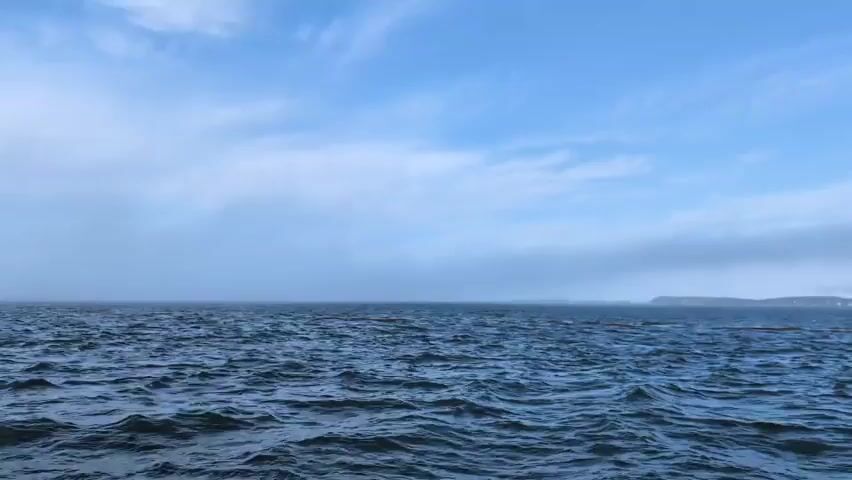 The video shows a choppy dark blue ocean under a bright blue sky with scattered clouds. A faint landmass is visible in the distance on the right side of the frame. The water is a deep blue and is visibly disturbed with small waves, indicating some wind. The sky transitions to a lighter blue towards the horizon, where it meets the ocean, and is partially obscured by a hazy, whitish layer of clouds or mist. There are no people or objects clearly visible in the water or on the landmass. The camera appears to be stationary, looking out at the open water.