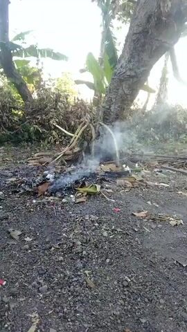 A low-angle, handheld shot depicts a small fire smoldering in a patch of dry leaves and debris on the ground. The fire is located at the base of a large tree with rough bark, surrounded by vegetation. Smoke rises from the smoldering material. The ground is covered with gravel and dirt, with scattered pieces of leaves, twigs, and some small pieces of red and white debris. The background is blurred, showing more trees and foliage, with bright sunlight filtering through. The overall impression is of an outdoor, somewhat overgrown, and neglected area.