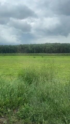 The video shows a view from a vehicle moving along a dirt road. On the left is a field of tall green grass and some yellow wildflowers. In the distance, there is a line of green trees, forming a forest. Above the trees are dark, cloudy skies. A tall, grey electrical tower is visible in the distance on the right side of the frame, towards the end of the video. The camera is angled slightly downwards and to the right. The overall impression is that of a rural landscape, possibly on a cloudy or overcast day.