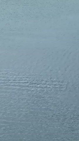 The video opens with a close-up view of rippling water. It then pans out to reveal a body of water with a distant shoreline featuring industrial-looking buildings. The camera continues to zoom out and shift its perspective, eventually showcasing a bright, sunny day with a clear blue sky filled with fluffy white clouds. In the foreground, there is a paved area with parking markings and a crosswalk. Beyond this, a modern building with large glass windows is visible. To the left of the building, palm trees are swaying. Further out, the turquoise water stretches towards a horizon dotted with islands and a seaplane docked at a pier. The scene suggests a tropical resort or an airport located by the sea.