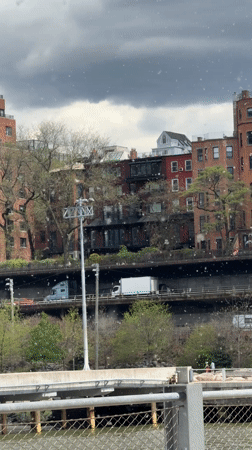 Spring foliage frames New York brick buildings amid highway traffic