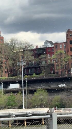 Spring foliage frames New York brick buildings amid highway traffic