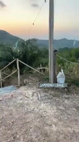 The video shows a view of a "jamming stage" in a mountainous, tropical environment at sunset. The camera pans upwards to show a simple stage structure with a white canopy, set up on a dirt clearing. Palm trees and other tropical vegetation surround the area.  Strings of lights are strung between trees and posts, and green flags flutter nearby. A sign reading "JAMMING STAGE" is visible at the bottom of a set of concrete stairs leading down to the stage area. The sky is colorful with oranges and pinks as the sun sets behind the distant mountains. The camera is static throughout the video. No people are seen.