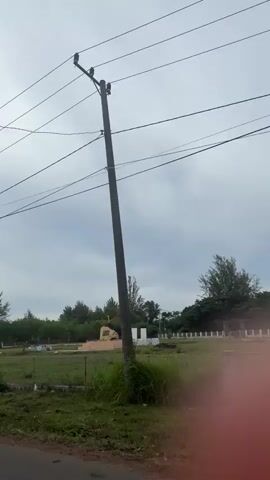 The video shows a cloudy sky with power lines in the foreground. In the distance, there is a monument or statue in a grassy field, surrounded by trees. A dirt road or pathway is visible in the lower left corner, and a person riding a scooter is briefly captured in the frame from the right side of the video as it moves from left to right. The environment appears to be an outdoor, possibly rural or park-like setting.