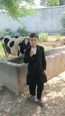 Boy shares rural morning meal with cows in Pakistan