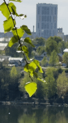Lakeside scene documented through trees in Kazan, Russia